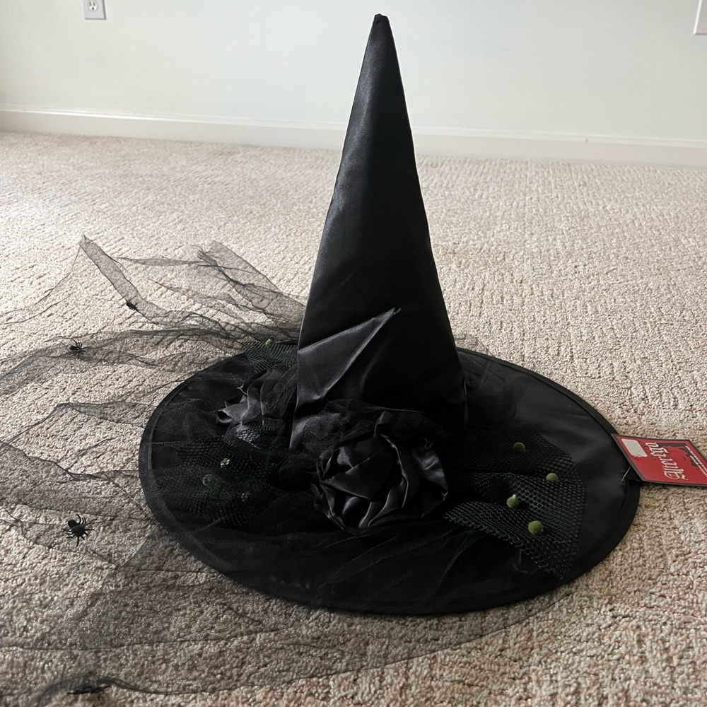 Black Witch hat with net